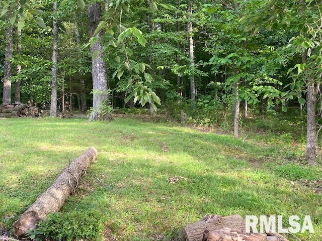 598 Drury Road Carbondale, IL 62902 - Photo 18 of 44 Gallery Image 18