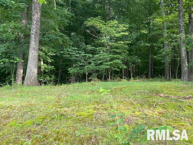 598 Drury Road Carbondale, IL 62902 - Photo 21 of 44 Gallery Image 21