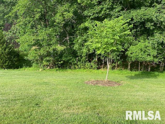 598 Drury Road Carbondale, IL 62902 - Photo 22 of 44 Gallery Image 22