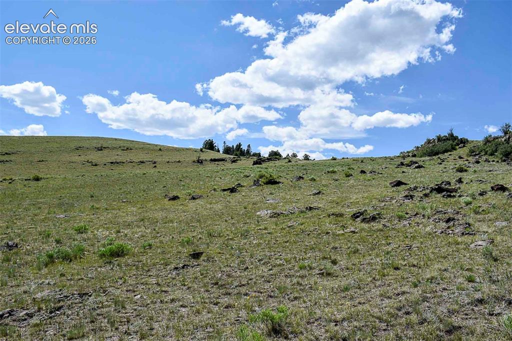 0 Bear Cat Road Guffey, CO 80820 - Photo 34 of 40