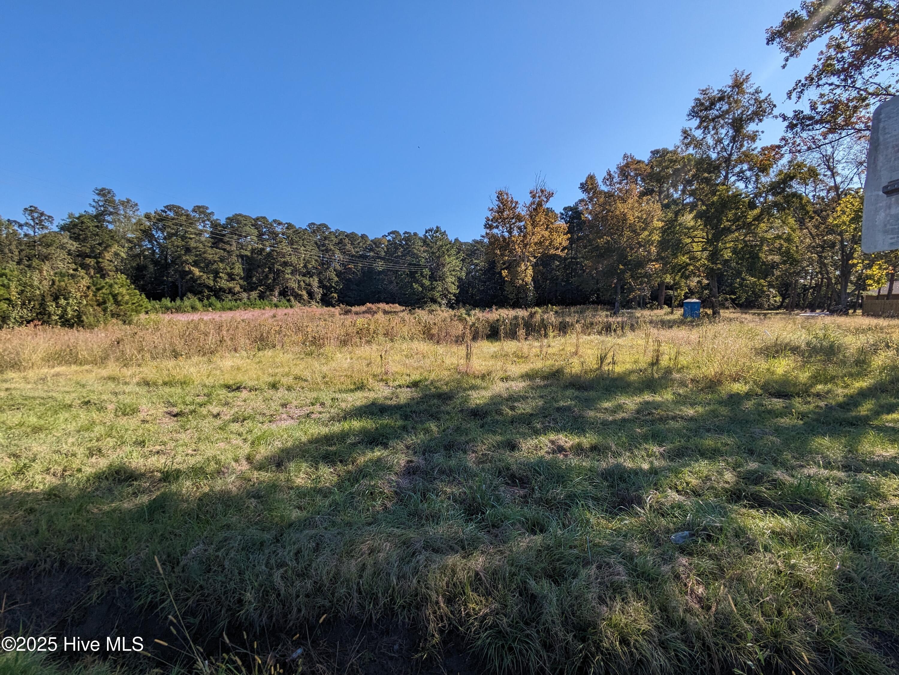 929 Hickman Road Tabor City, NC 28463 - Photo 1 of 1 Lot