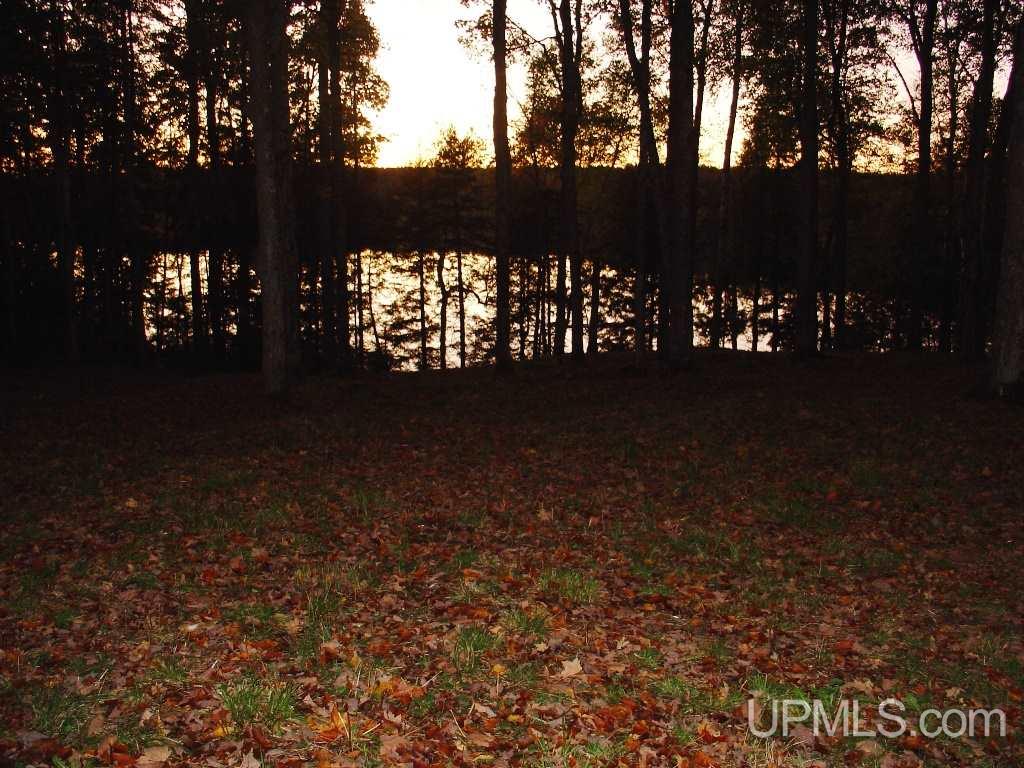 Off East Hawk Lake Road, Unit 3 Marenisco, MI 49947 - Photo 9 of 18
