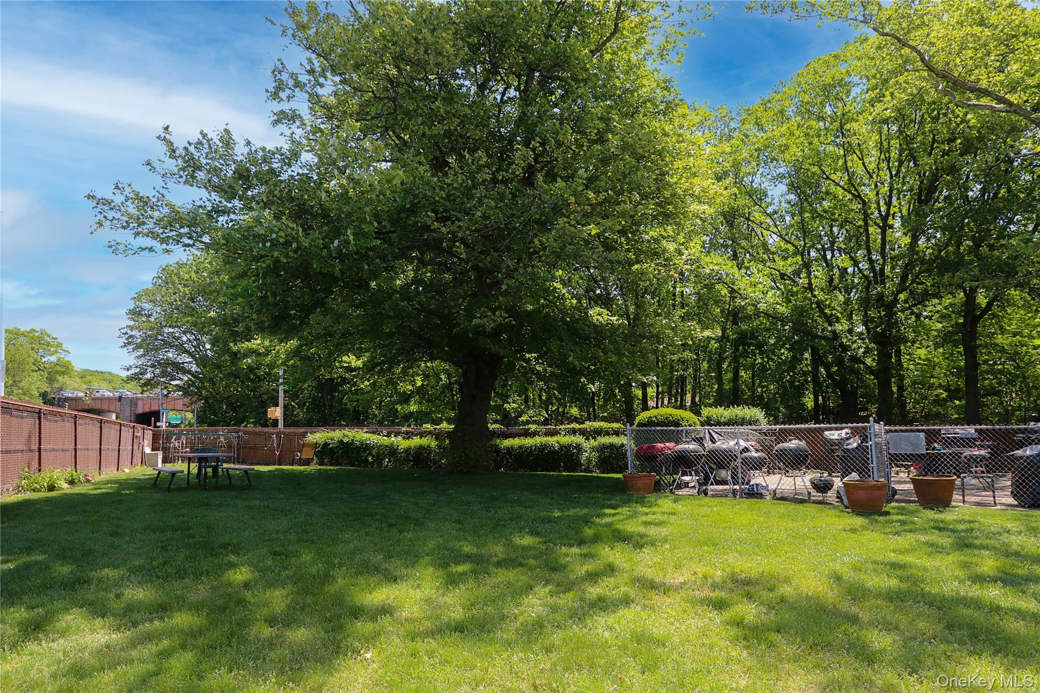 80-35 Springfield Boulevard, Unit 6F Queens, NY 11427 - Photo 14 of 15 View of yard and BBQ area