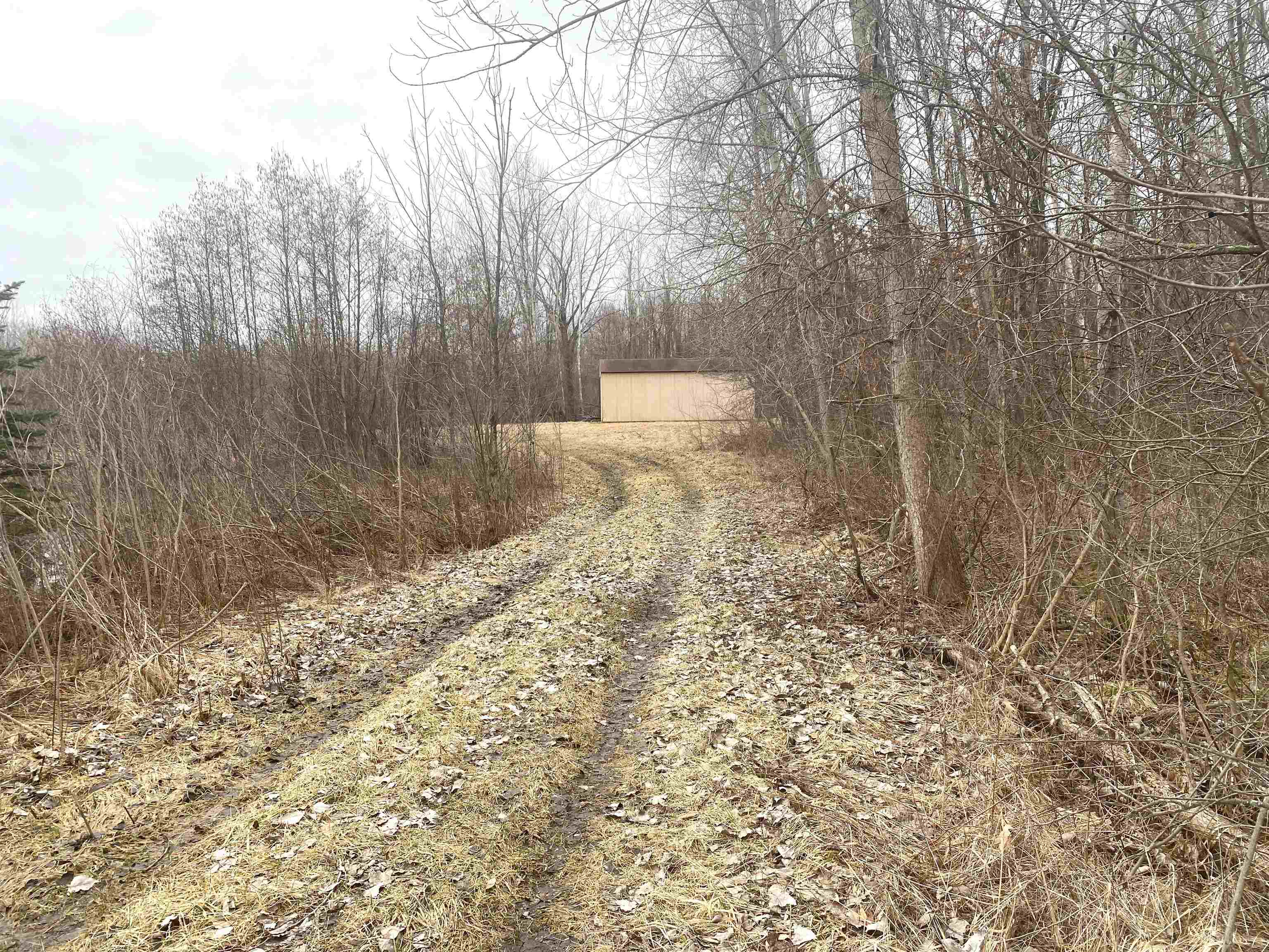 Tbd East Jordan Road Mount Pleasant, MI 48858 - Photo 3 of 15