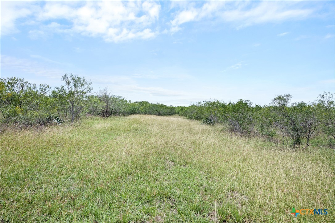 1190 Dickerson Road Lockhart, TX 78644 - Photo 10 of 40
