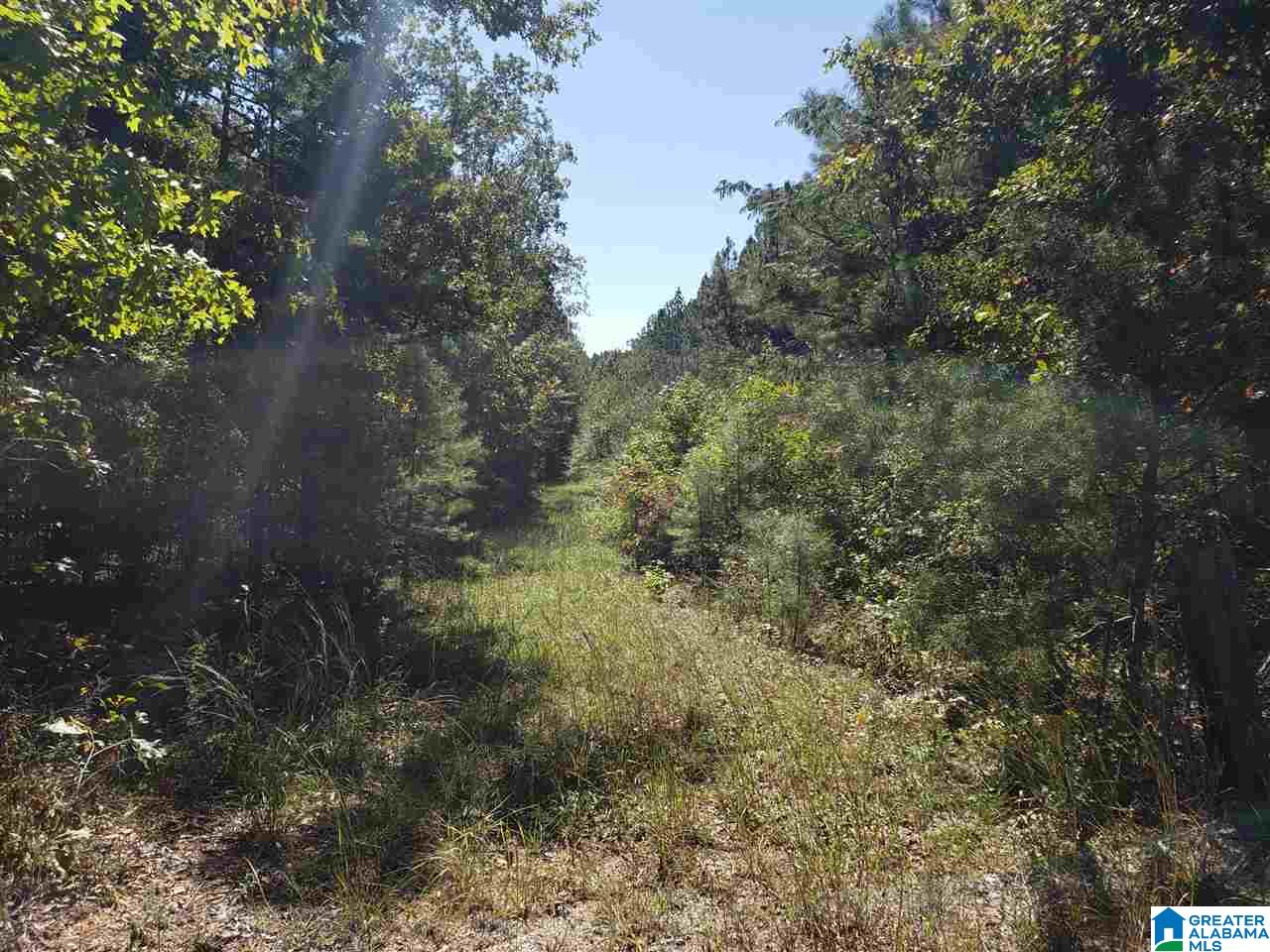 Lot 9 Redman Hall Road, Unit 1 Oneonta, AL 35121 - Photo 6 of 10