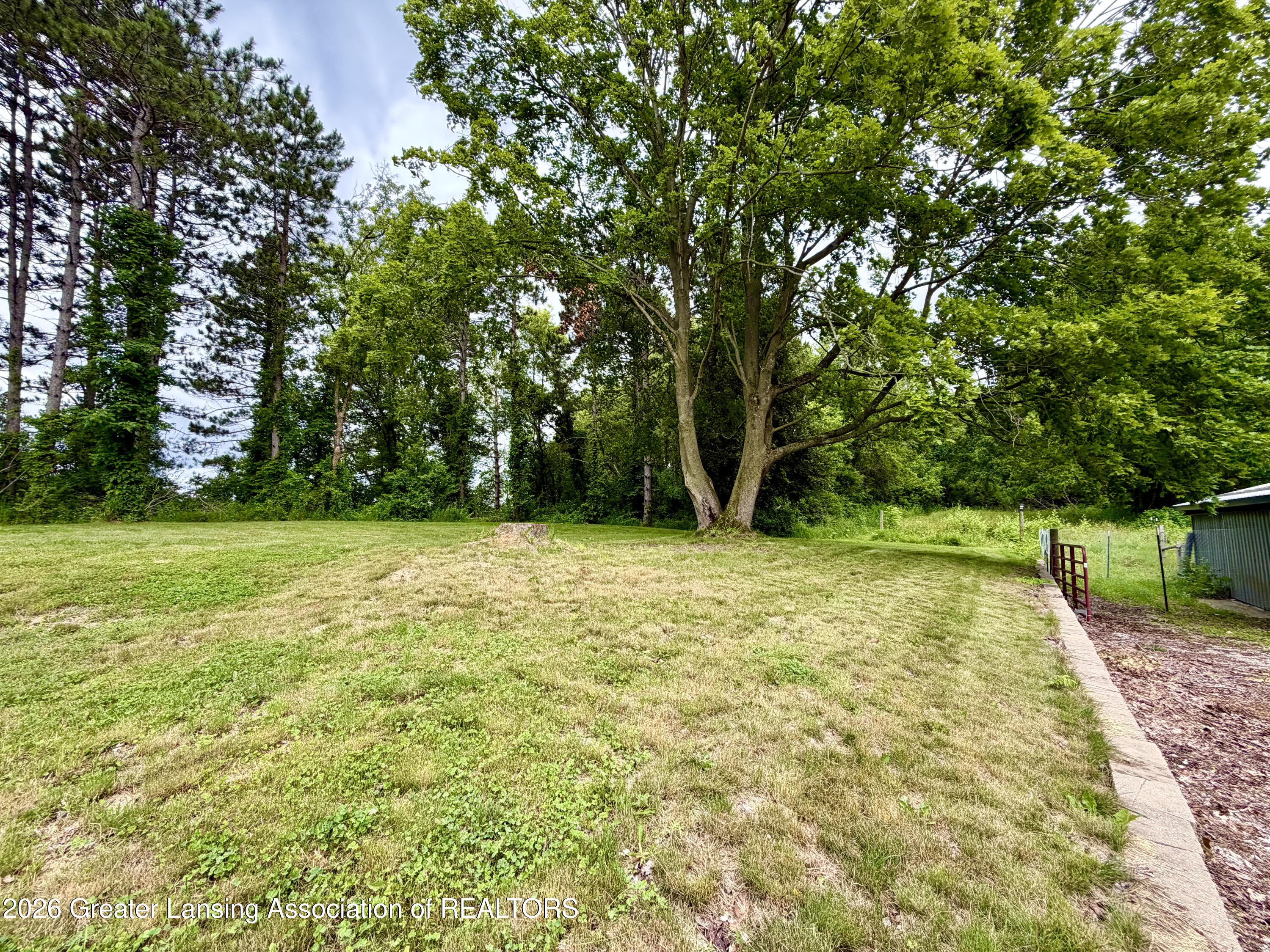 5447 Woods Road Bellevue, MI 49021 - Photo 60 of 62