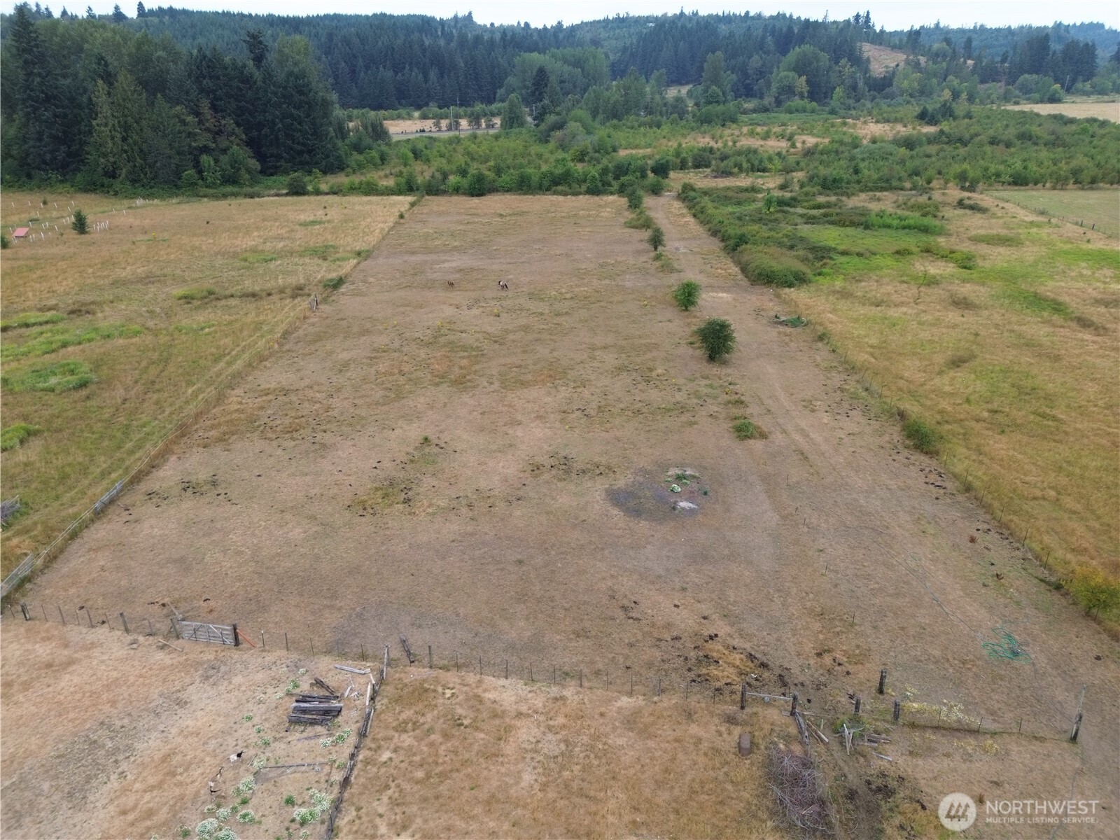 247 Big Hanaford Road Centralia, WA 98531 - Photo 3 of 40