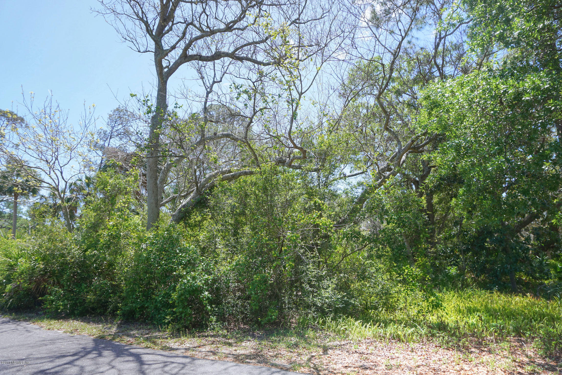 Lot 83 Marsh Point Road Fernandina Beach, FL 32034 - Photo 5 of 9 front4-sm