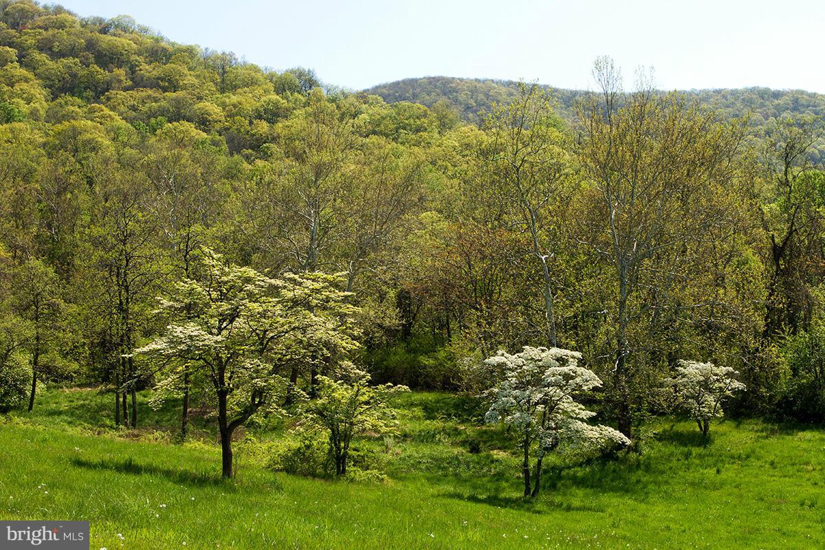 4391 Fiery Run Road Linden, VA 22642 - Photo 22 of 30 View