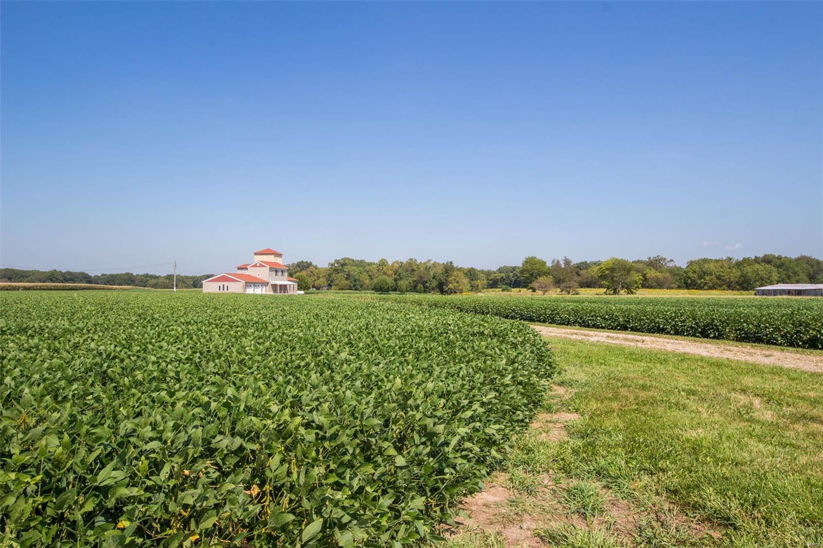 32526 Delhi Road Brighton, IL 62012 - Photo 2 of 47
