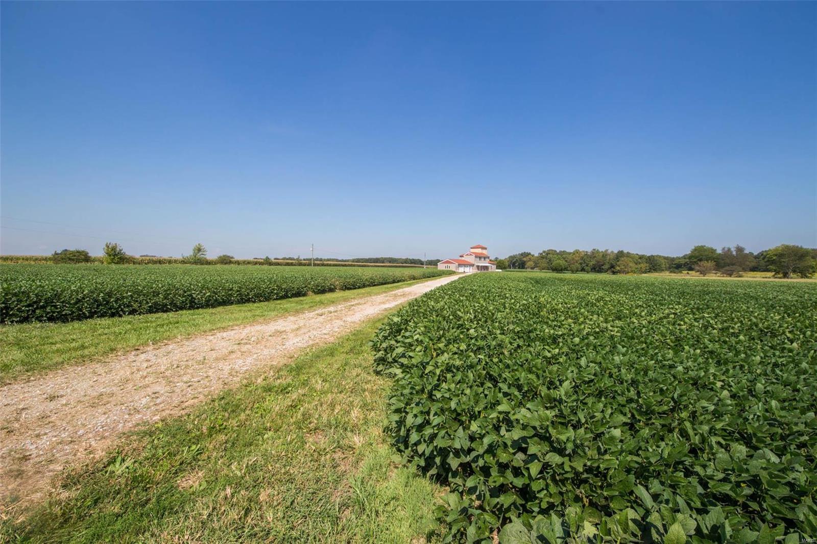 32526 Delhi Road Brighton, IL 62012 - Photo 47 of 47