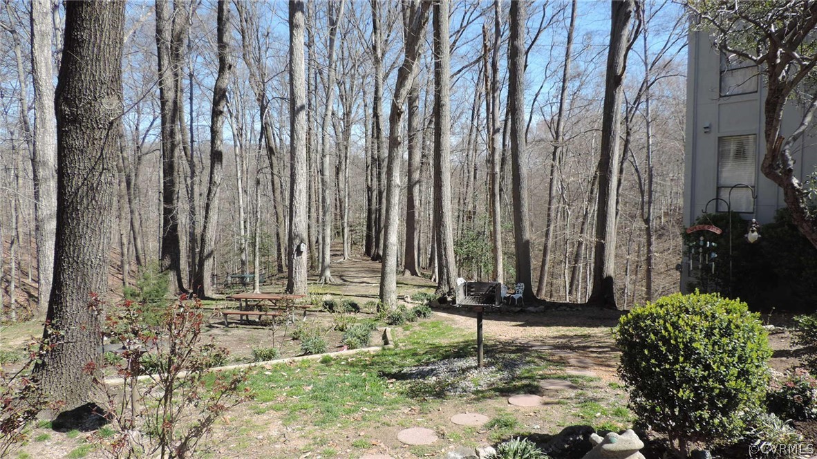 10174 Iron Mill Road, Unit 10174 North Chesterfield, VA 23235 - Photo 3 of 19 Gallery Image 3