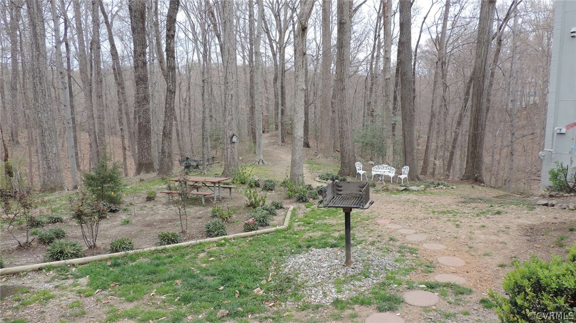 10174 Iron Mill Road, Unit 10174 North Chesterfield, VA 23235 - Photo 4 of 19 Gallery Image 4