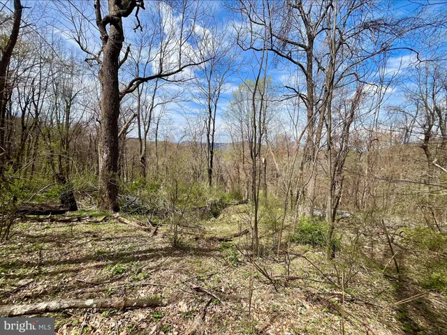 a view of a backyard of the house