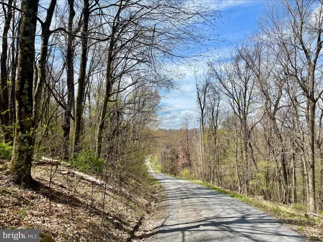 a view of a backyard of the house