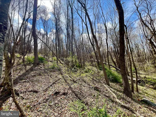 a view of backyard with green space