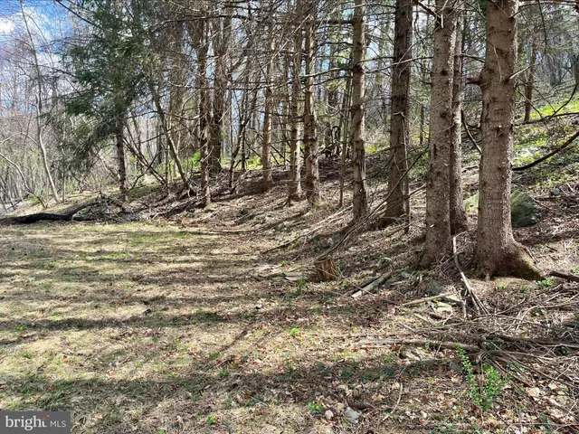 a view of a plants and trees