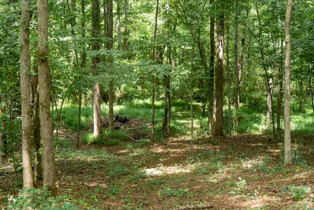 422 Johnson Road Easley, SC 29642 - Photo 5 of 32 Gallery Image 5