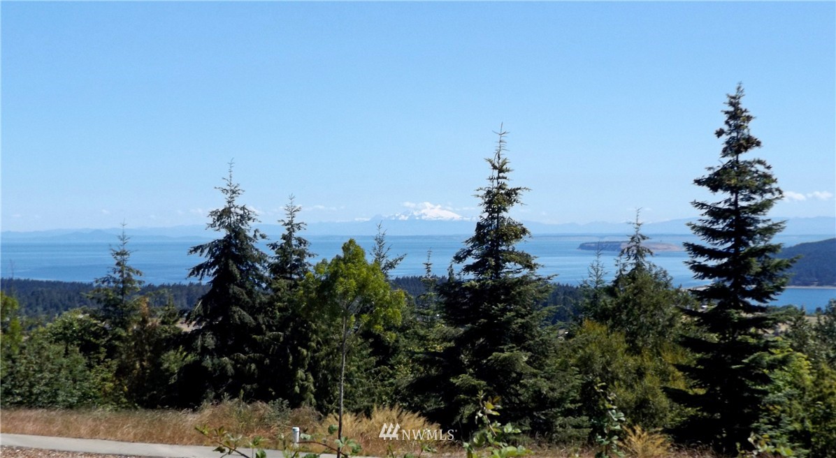 20 Flying Cloud Street Sequim, WA 98382 - Photo 1 of 1 Gallery Image 1