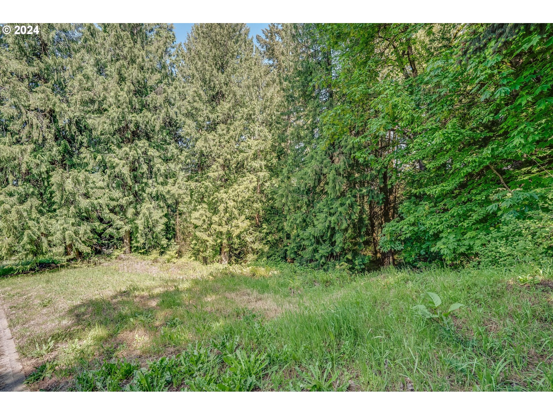 Southeast Duke Street Portland, OR 97236 - Photo 3 of 30