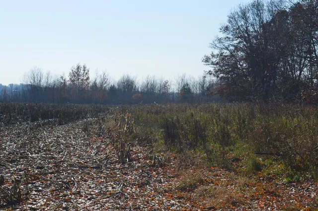 $429,900 | Tbd Lot G Mayhew Lake Road, Sauk Rapids, MN 56379