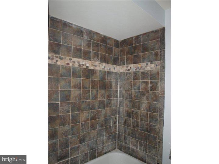 113 Ripka Street Philadelphia, PA 19127 - Photo 13 of 14 Bathroom