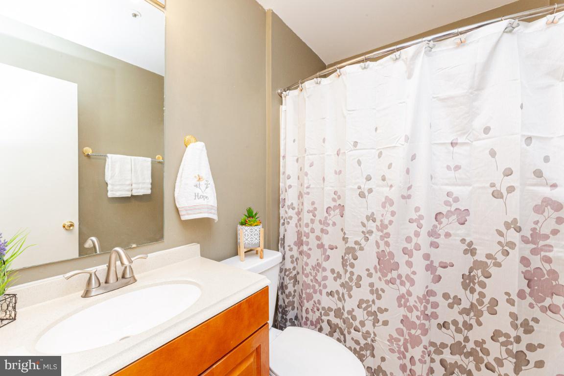 6615 Ronald Road Capitol Heights, MD 20743 - Photo 24 of 37 Hall bath