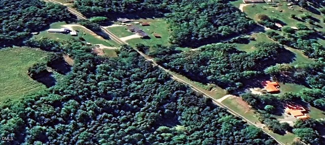 a picture of flowers