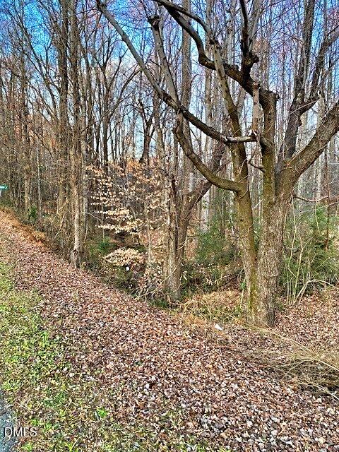 0 Gravitte Road Roxboro, NC 27573 - Photo 3 of 8