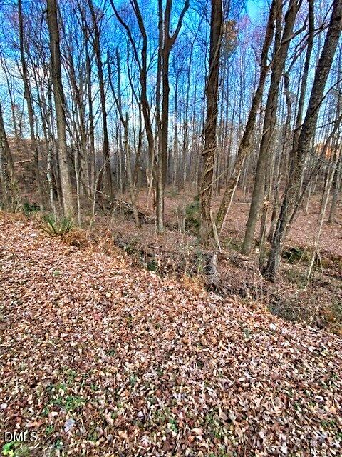0 Gravitte Road Roxboro, NC 27573 - Photo 4 of 8 a view of a yard with large trees