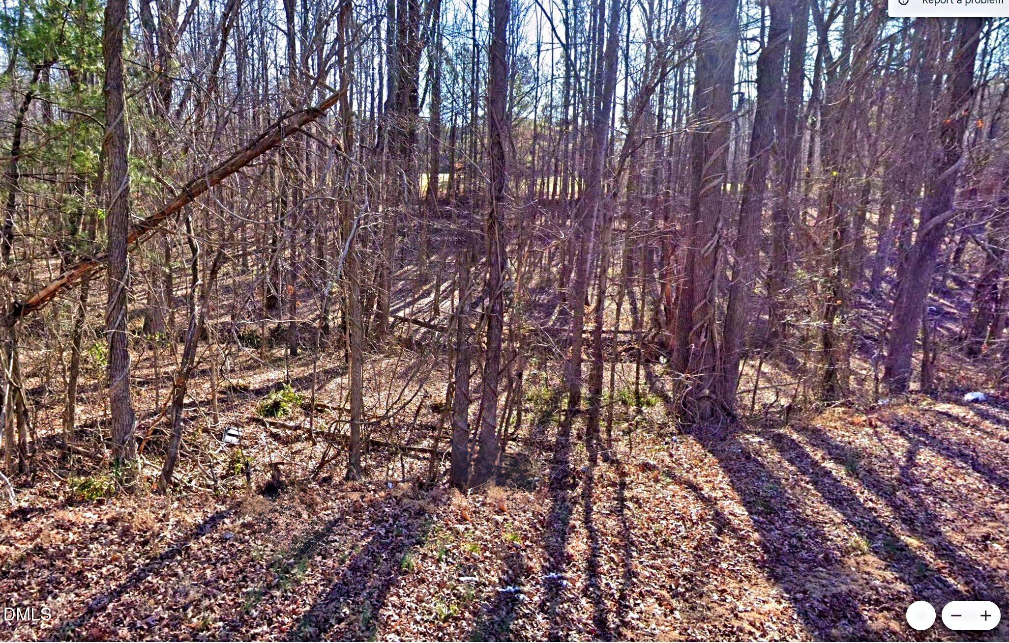 0 Gravitte Road Roxboro, NC 27573 - Photo 6 of 8