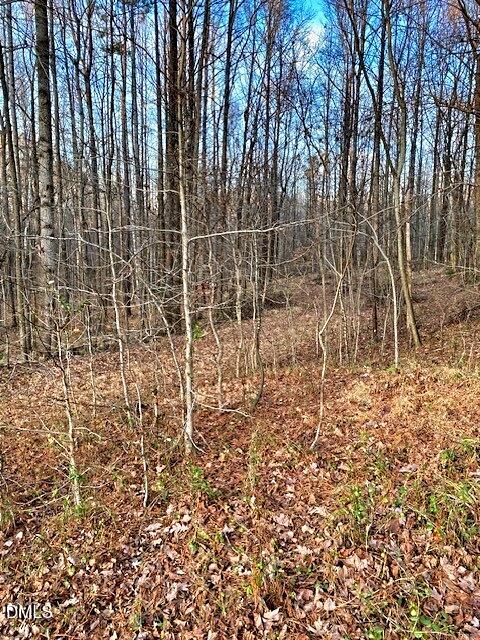 0 Gravitte Road Roxboro, NC 27573 - Photo 7 of 8 a bathroom with a shower