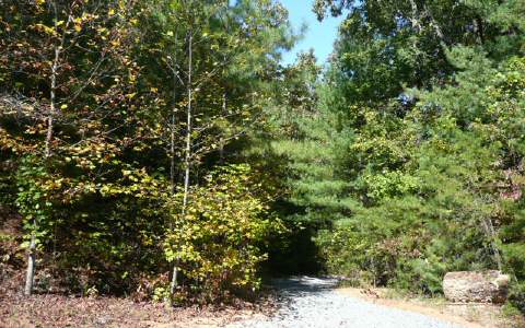 32-ac Flat Branch Road Ellijay, GA 30540 - Photo 1 of 1 Main View