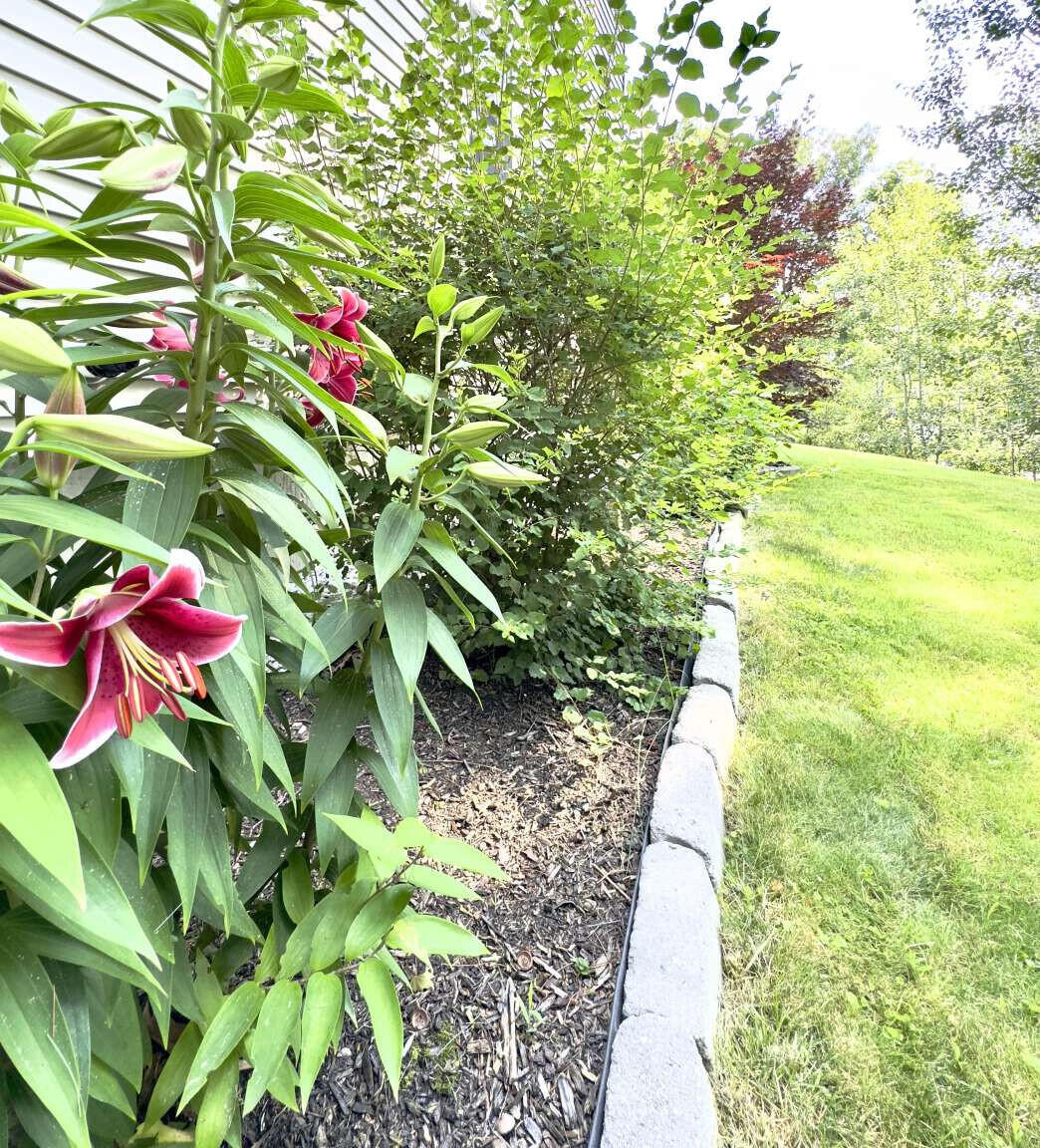 6 Newfield Road Freeport, ME 04032 - Photo 18 of 20 Perry.18