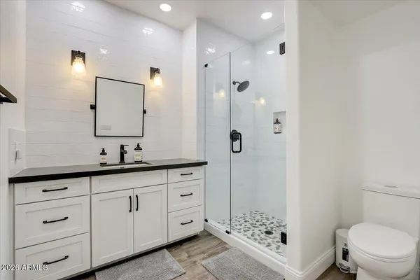 a bathroom with a sink a toilet a shower and a mirror