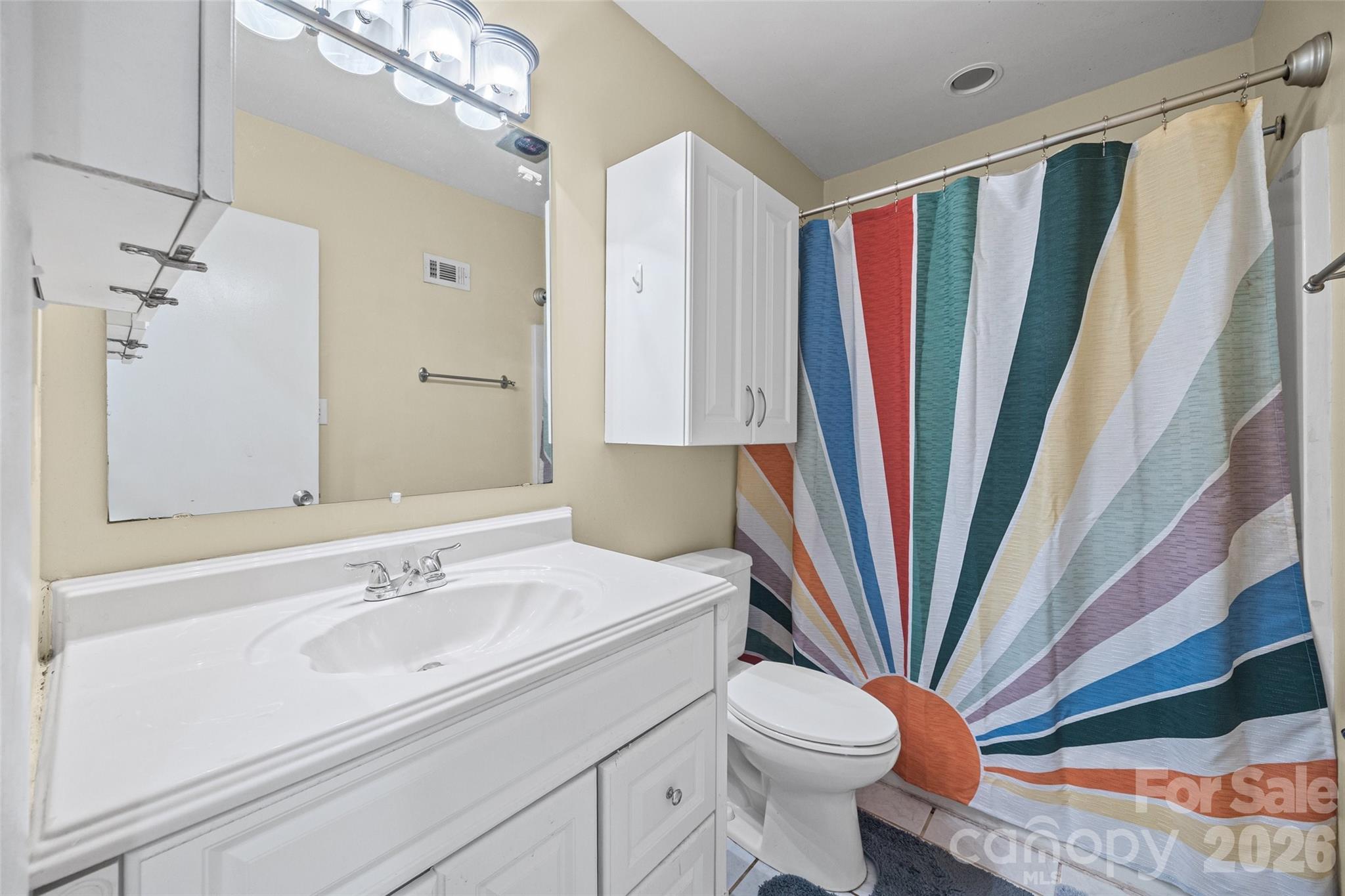 234 Riverview Terrace Clover, SC 29710 - Photo 23 of 35 a bathroom with a sink a toilet a mirror and a shower