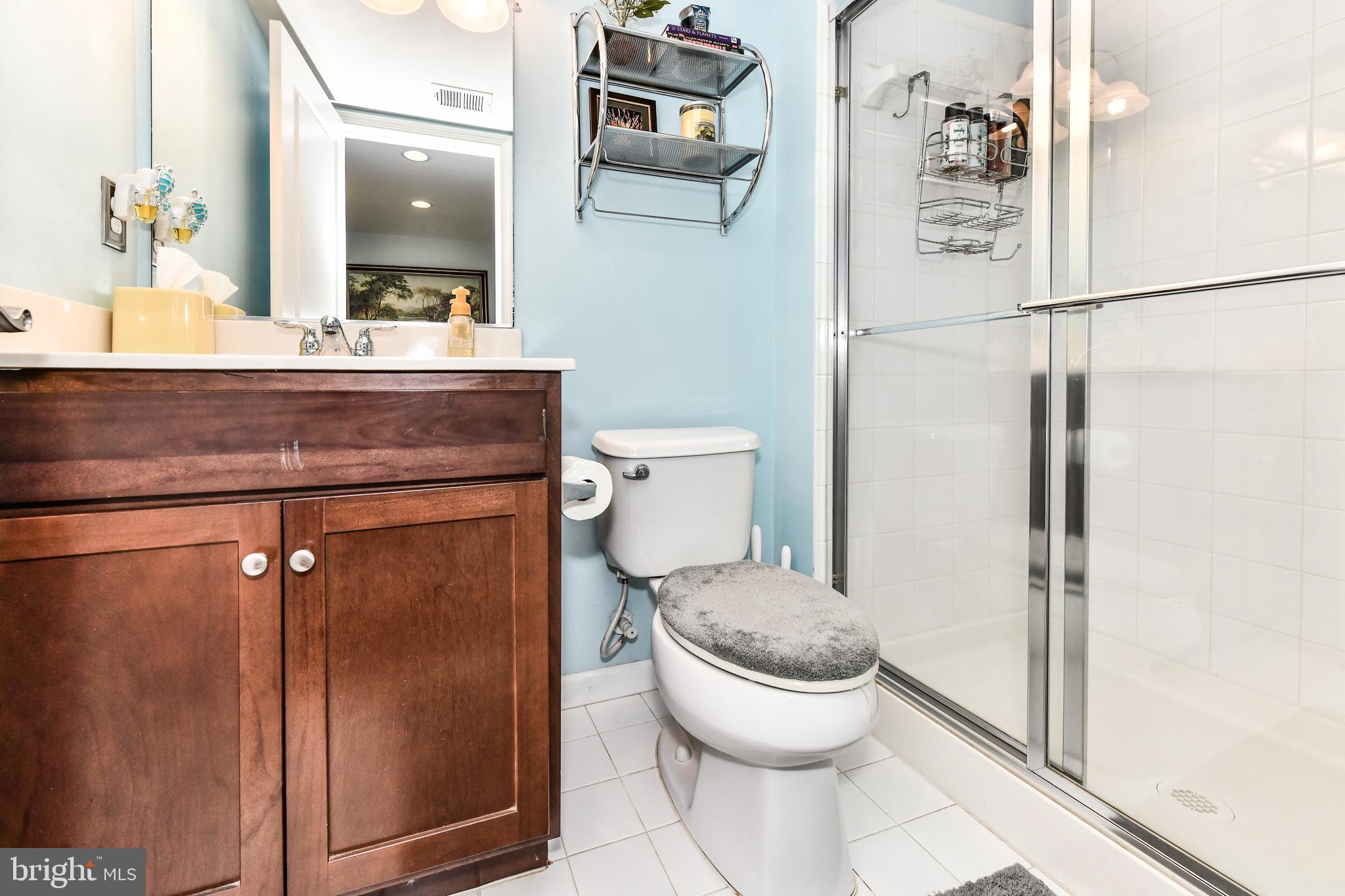 8369 Scotland Loop Manassas, VA 20109 - Photo 21 of 28 Basement full bathroom!