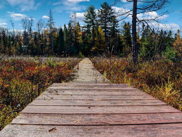 Near1594 Dollar Lake Road Eagle River, WI 54521 - Photo 7 of 16 Gallery Image 7