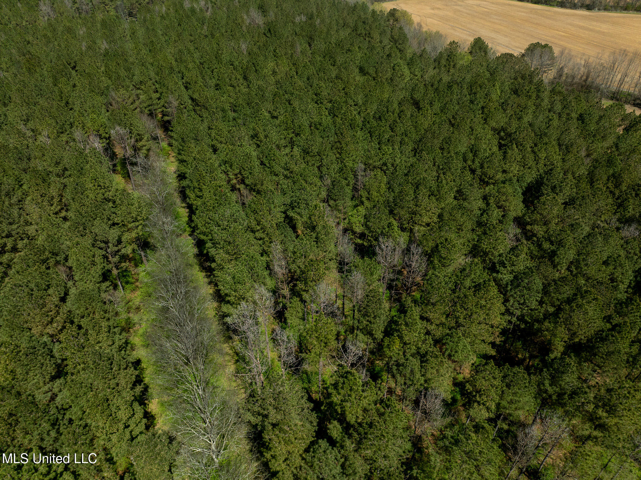 DJI_0461