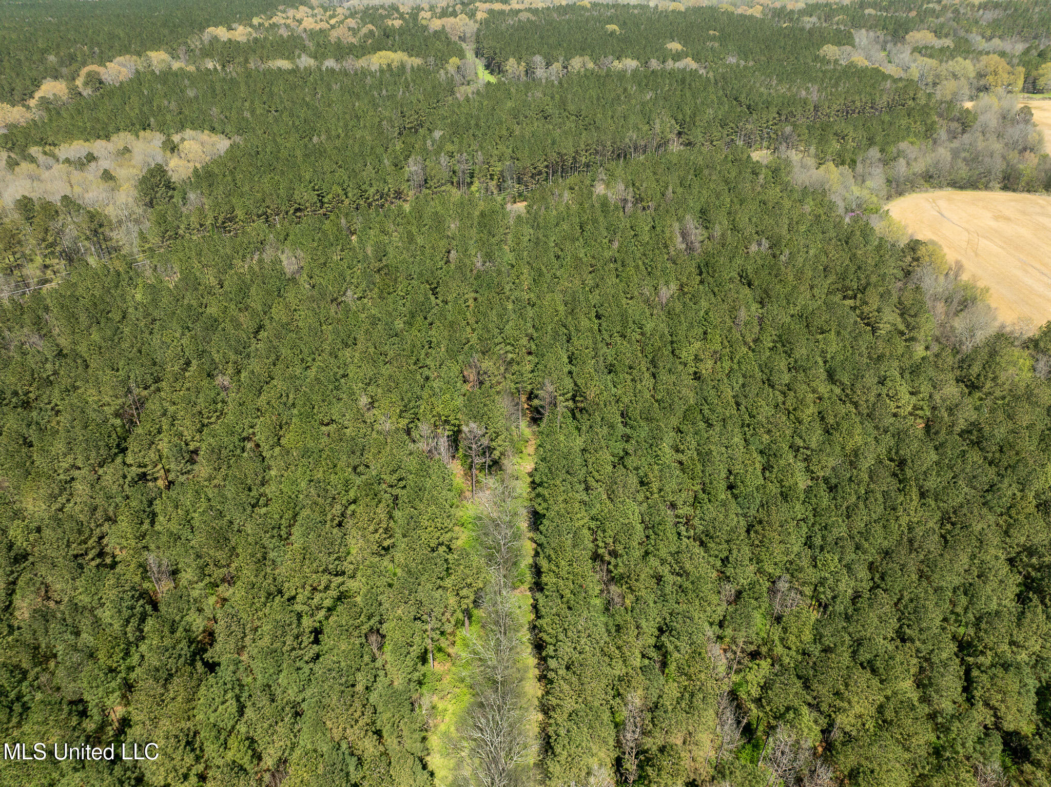 DJI_0462
