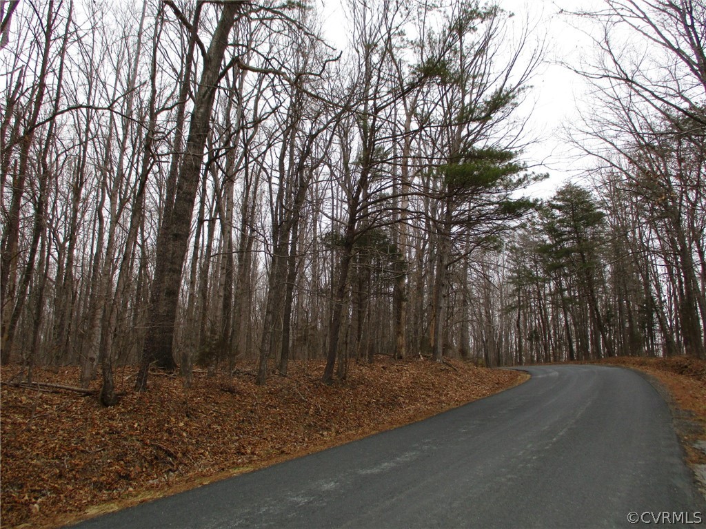 0 New Store Road Dillwyn, VA 23936 - Photo 1 of 12 a backyard of a house with trees