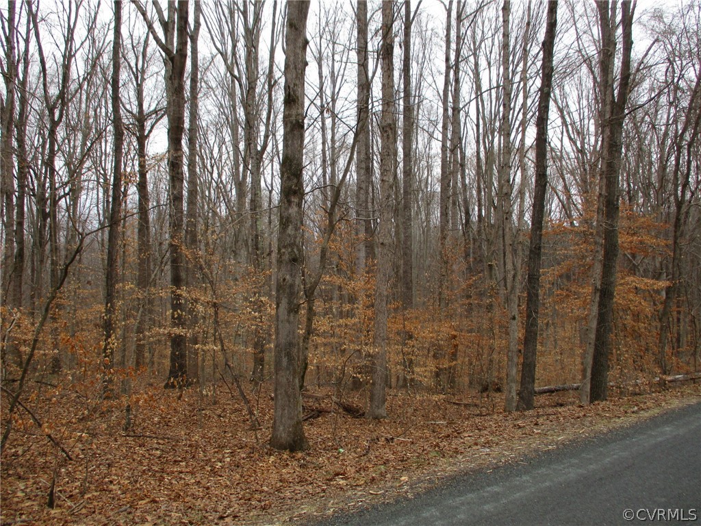 0 New Store Road Dillwyn, VA 23936 - Photo 11 of 12 a view of a backyard of the house