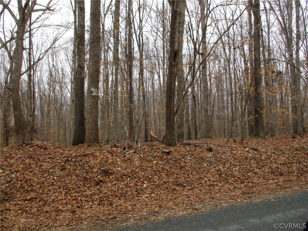 0 New Store Road Dillwyn, VA 23936 - Photo 8 of 12 a big yard with lots of green space