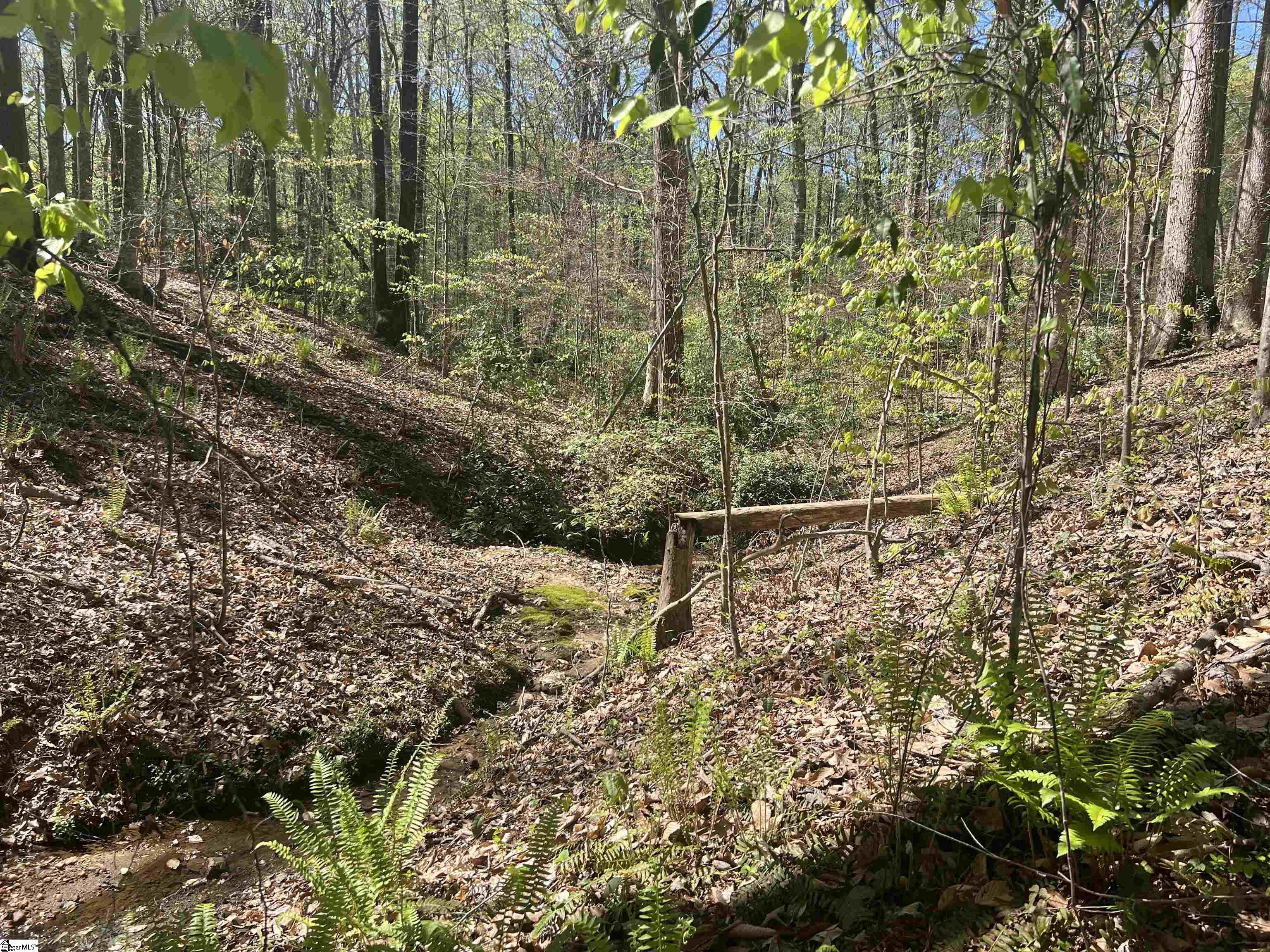 0 76th Highway Clemson, SC 29631 - Photo 14 of 27