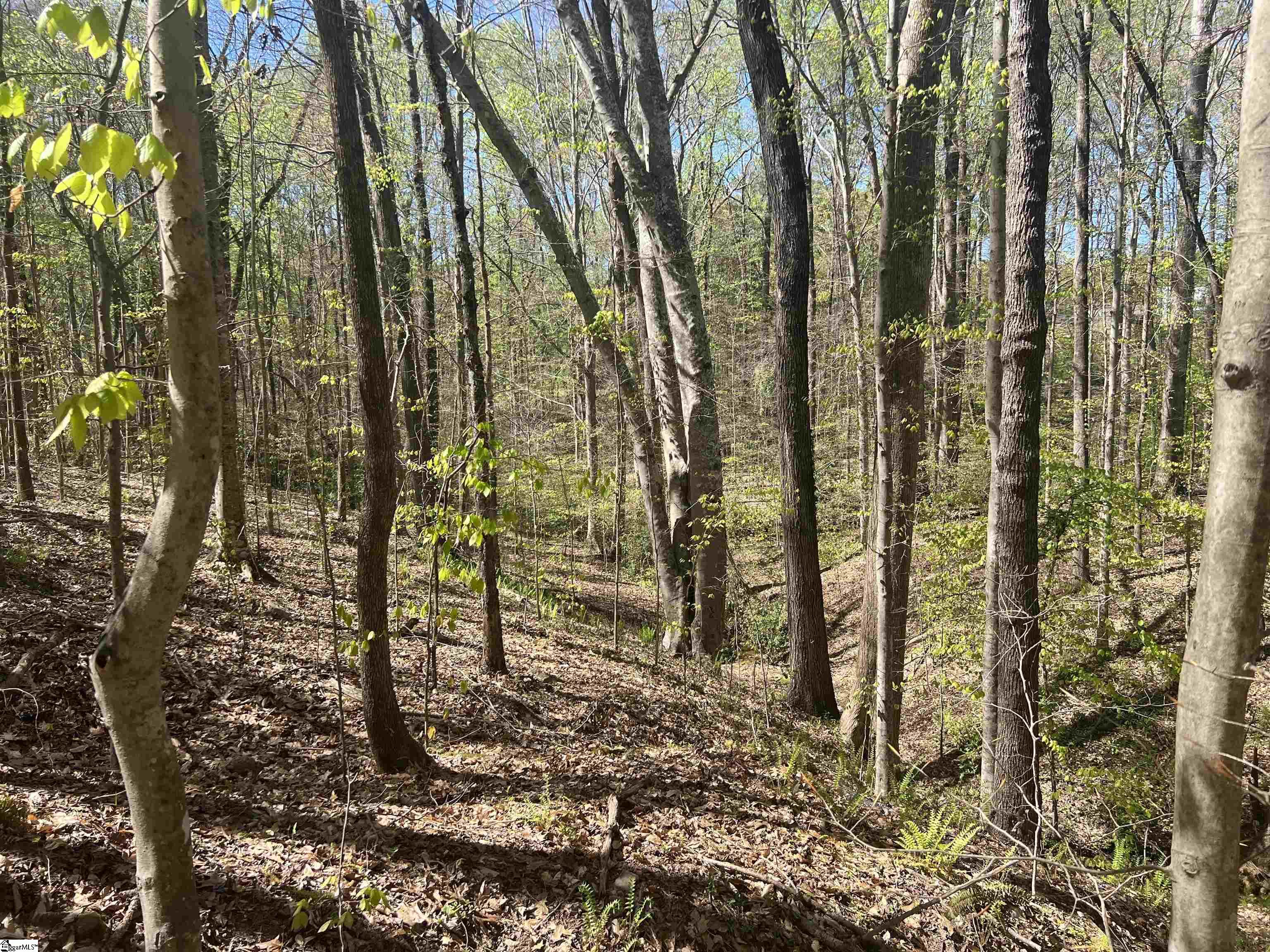 0 76th Highway Clemson, SC 29631 - Photo 15 of 27