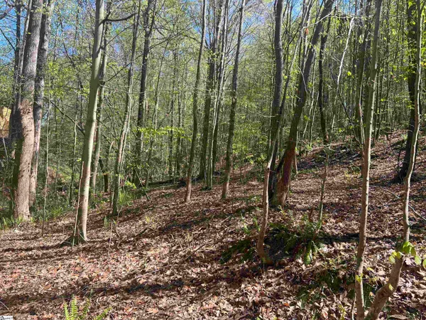 $1,299,774 | 0 76th Highway, Clemson, SC 29631
