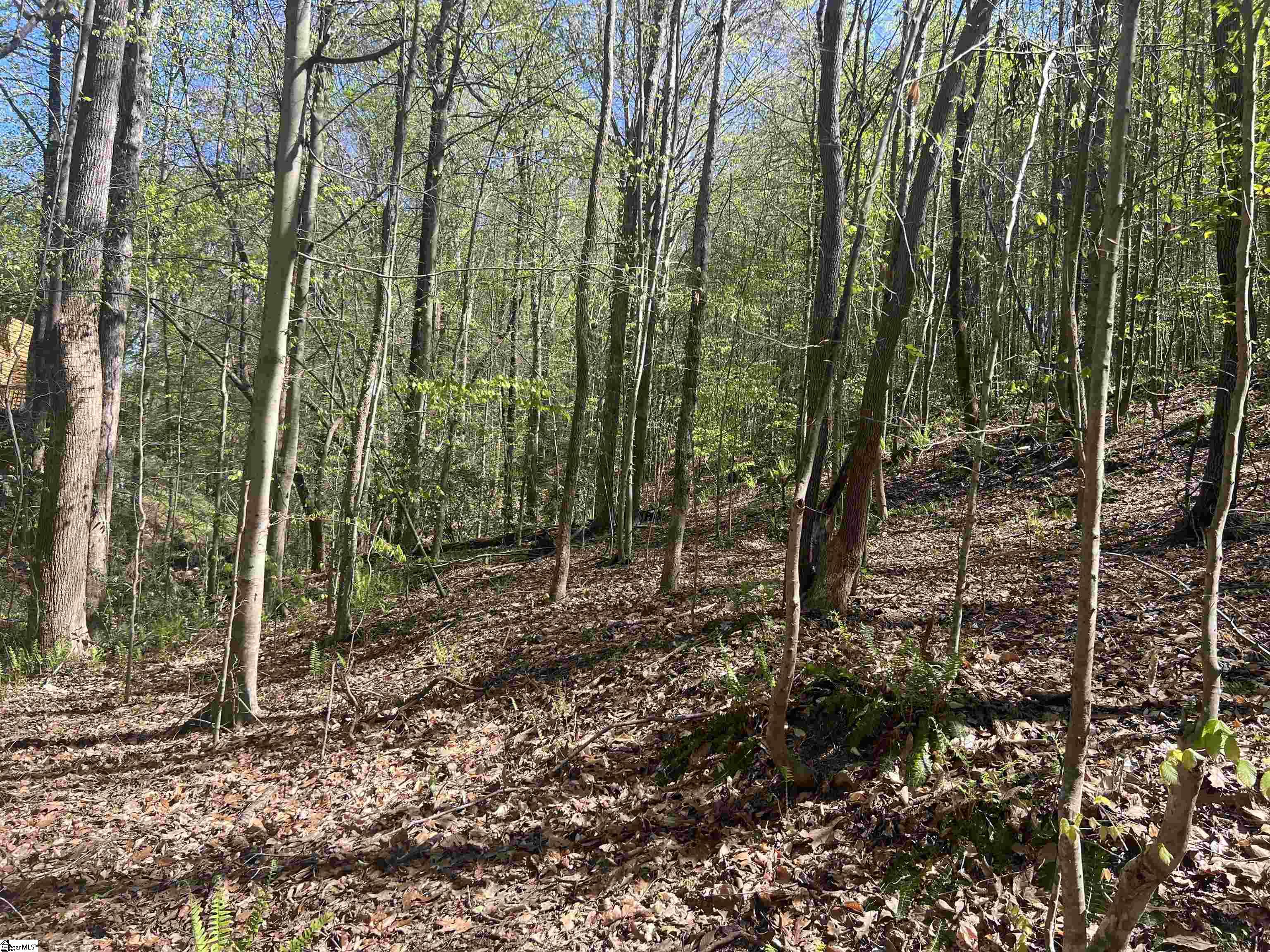 0 76th Highway Clemson, SC 29631 - Photo 16 of 27