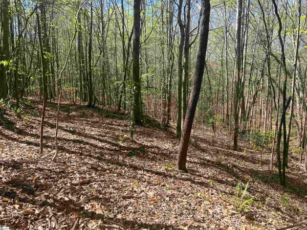 $1,299,774 | 0 76th Highway, Clemson, SC 29631