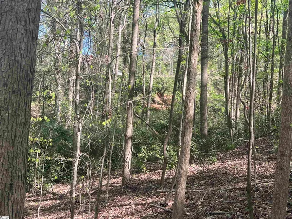 $1,299,774 | 0 76th Highway, Clemson, SC 29631